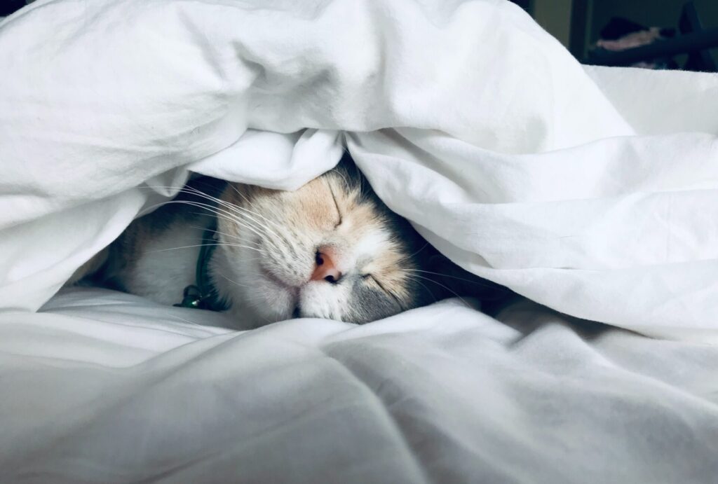 Advanced sleep tracking