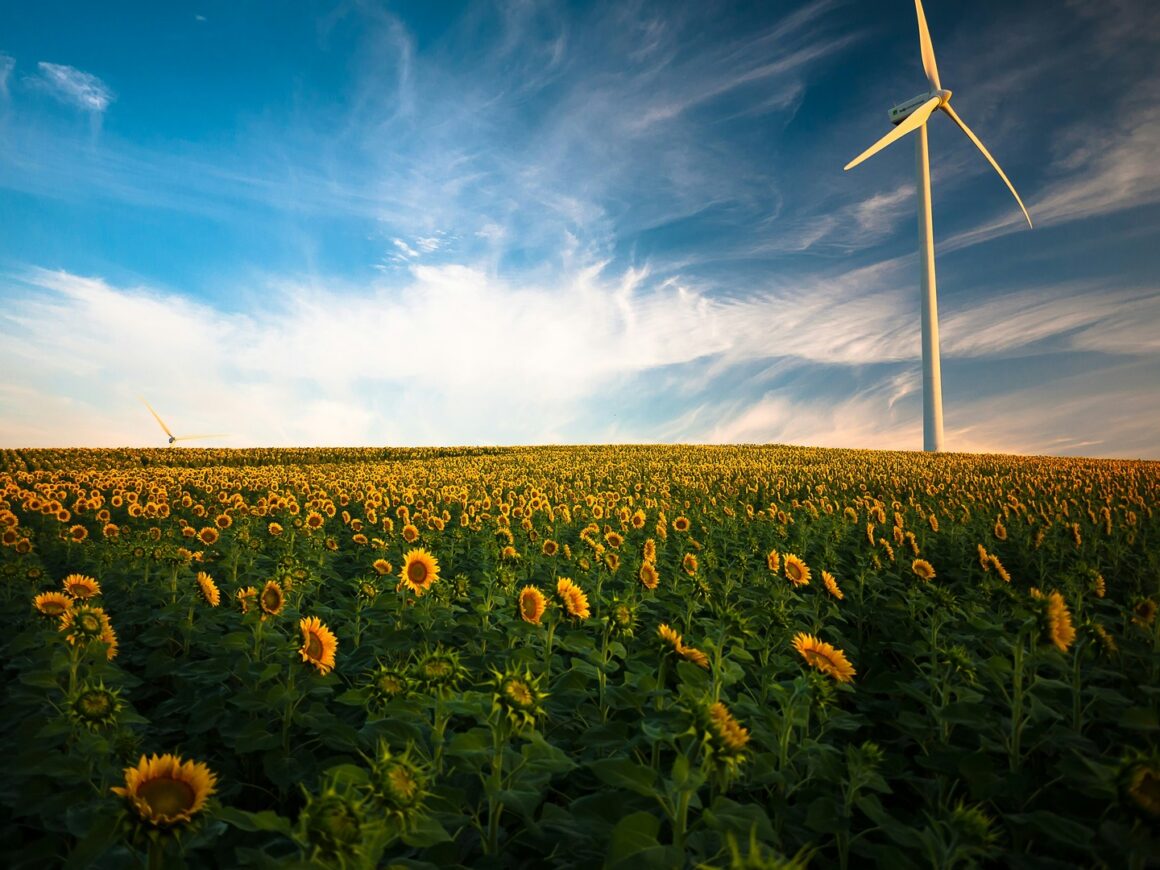 Green Tech: Sustainable and Eco-Friendly Gadgets Perfect for Eco-Conscious Women