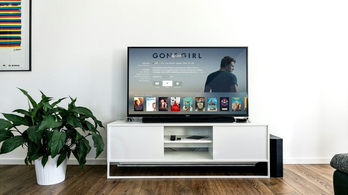 Setting Up a Home Media Server